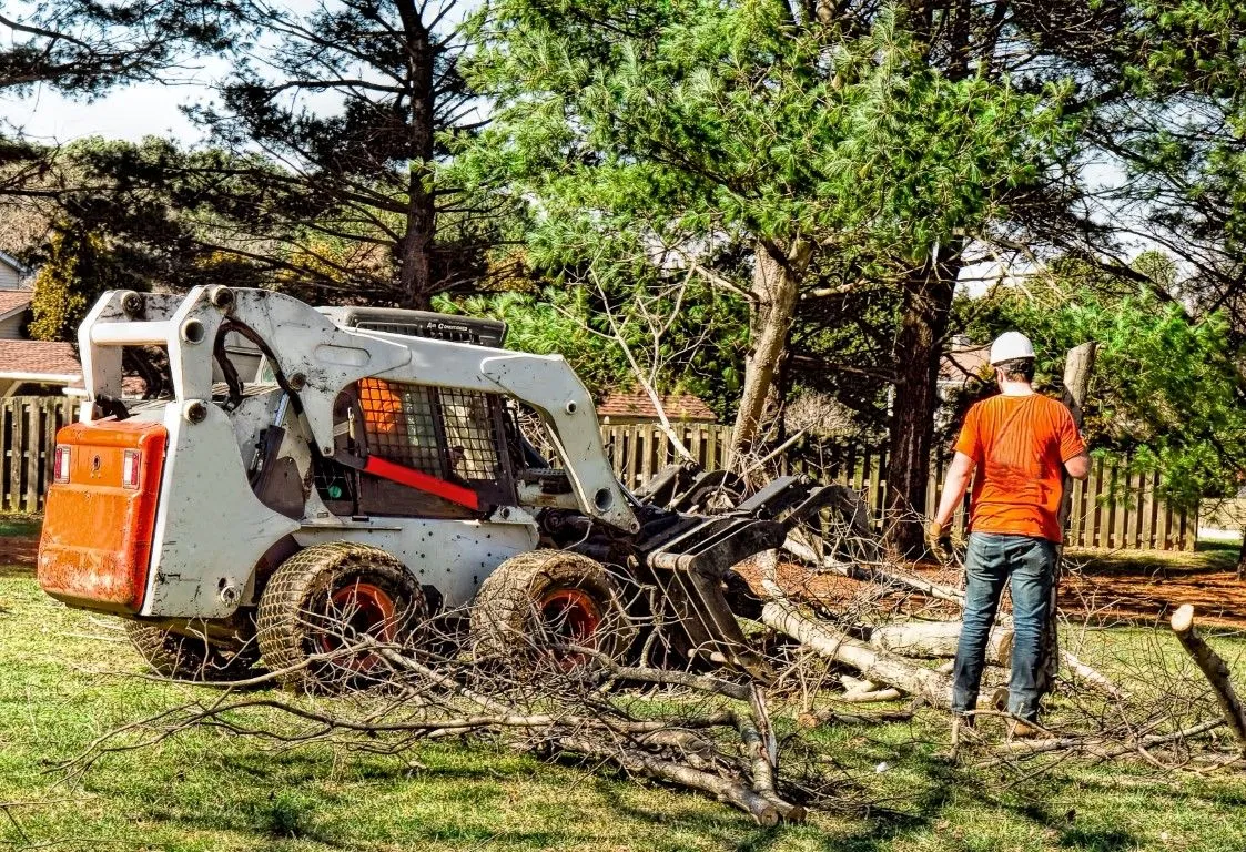 An image of Tree Service Company in Arcadia, CA