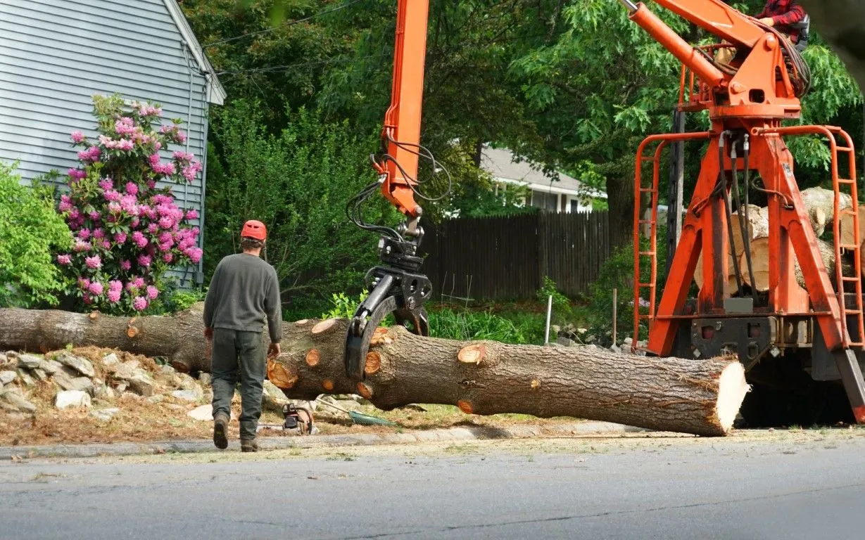 Man watching an orange crane lift a large tree trunk on a street.